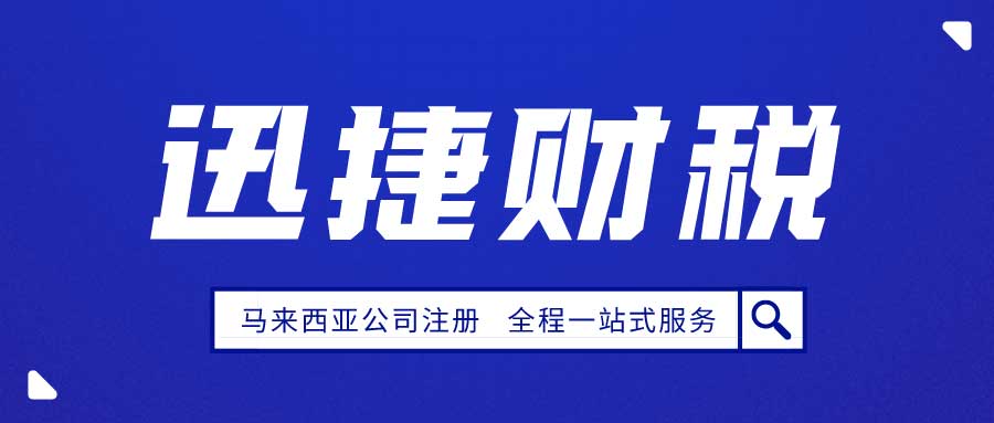 马来西亚公司类型深度解析，选择最佳公司形式，助力企业全球布局