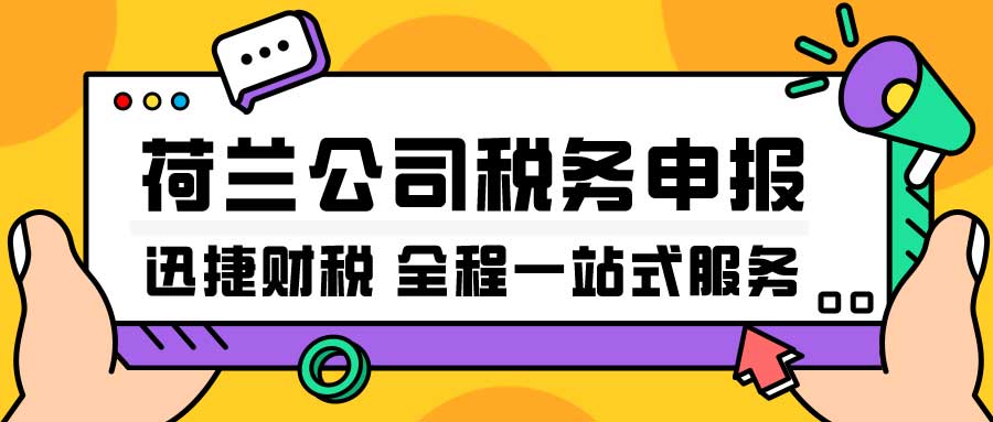 荷兰公司税务申报的方式以及要准备哪些资料？